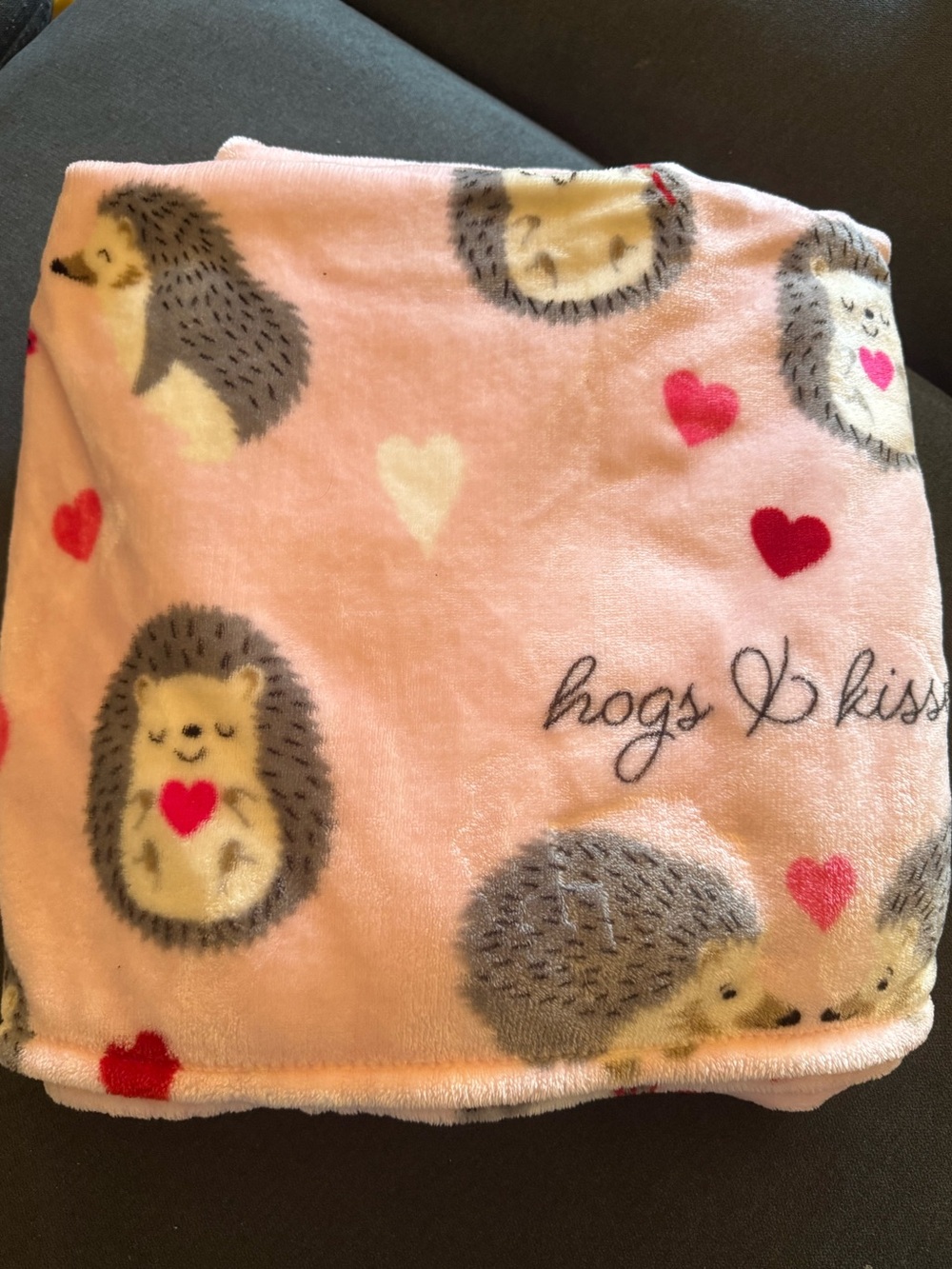 Target Pink Hedgehog Heart Plush Throw Blanket